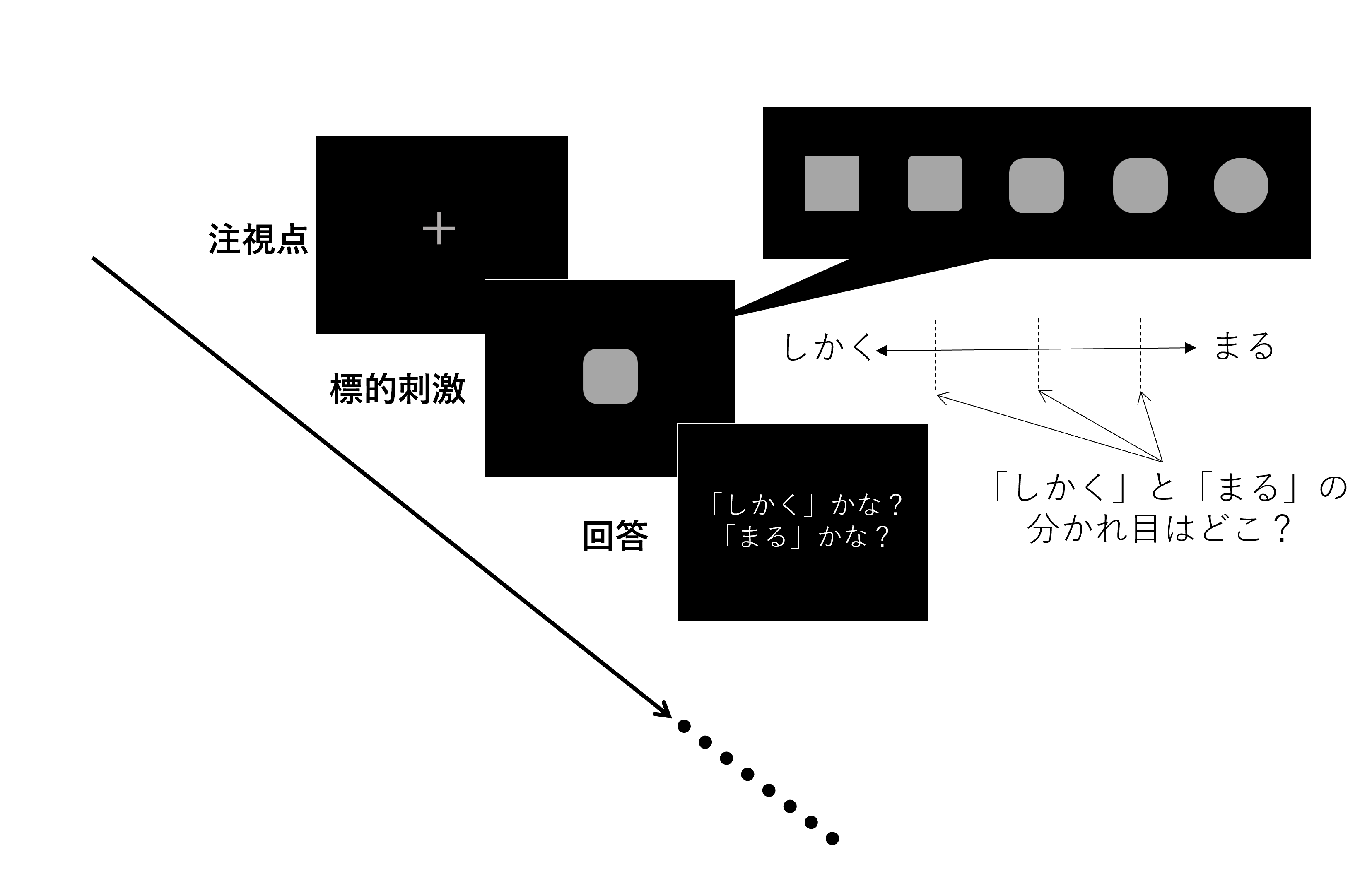 形を分類する際の基準を測る実験