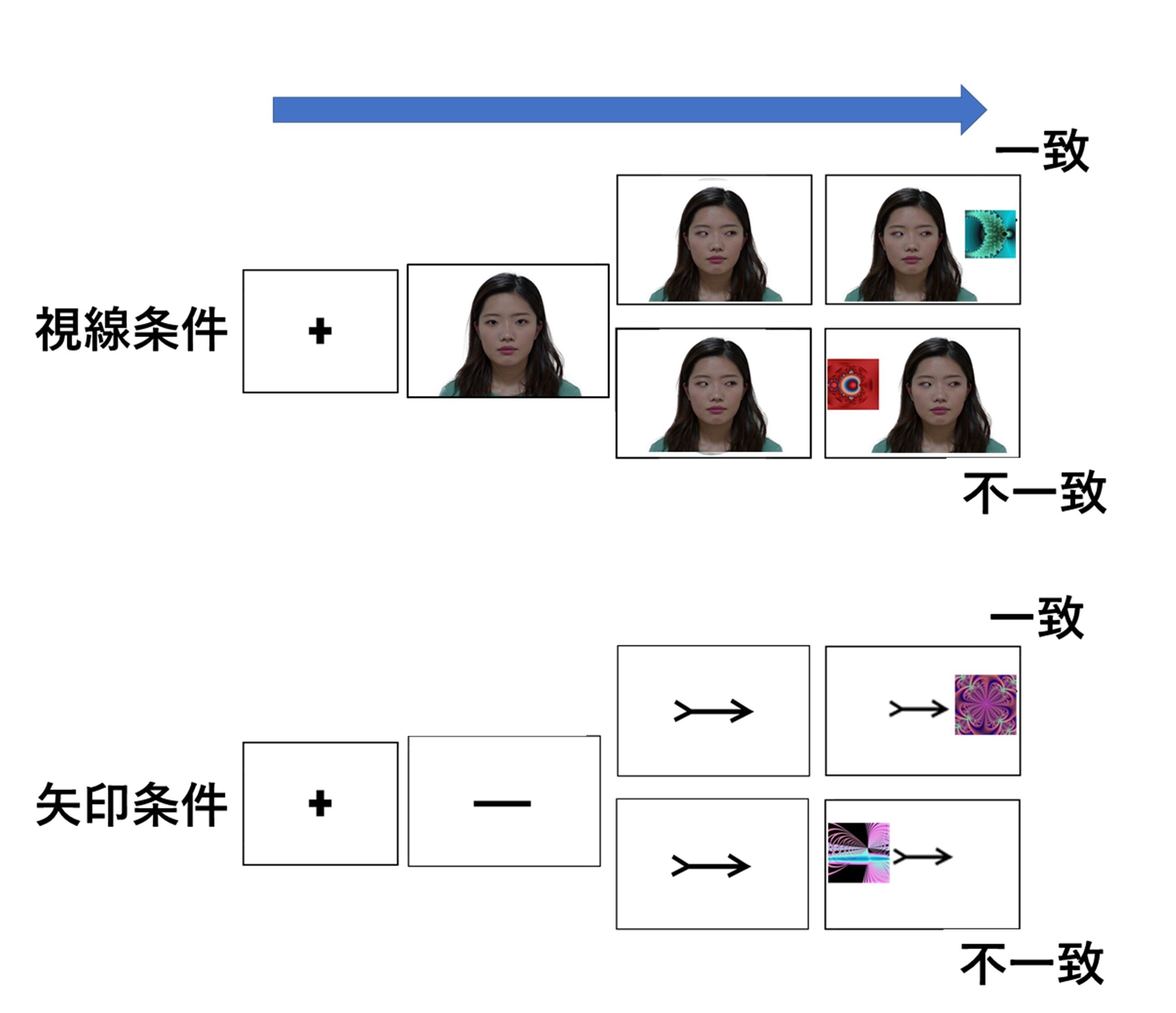 他者が見ているものは気になる？