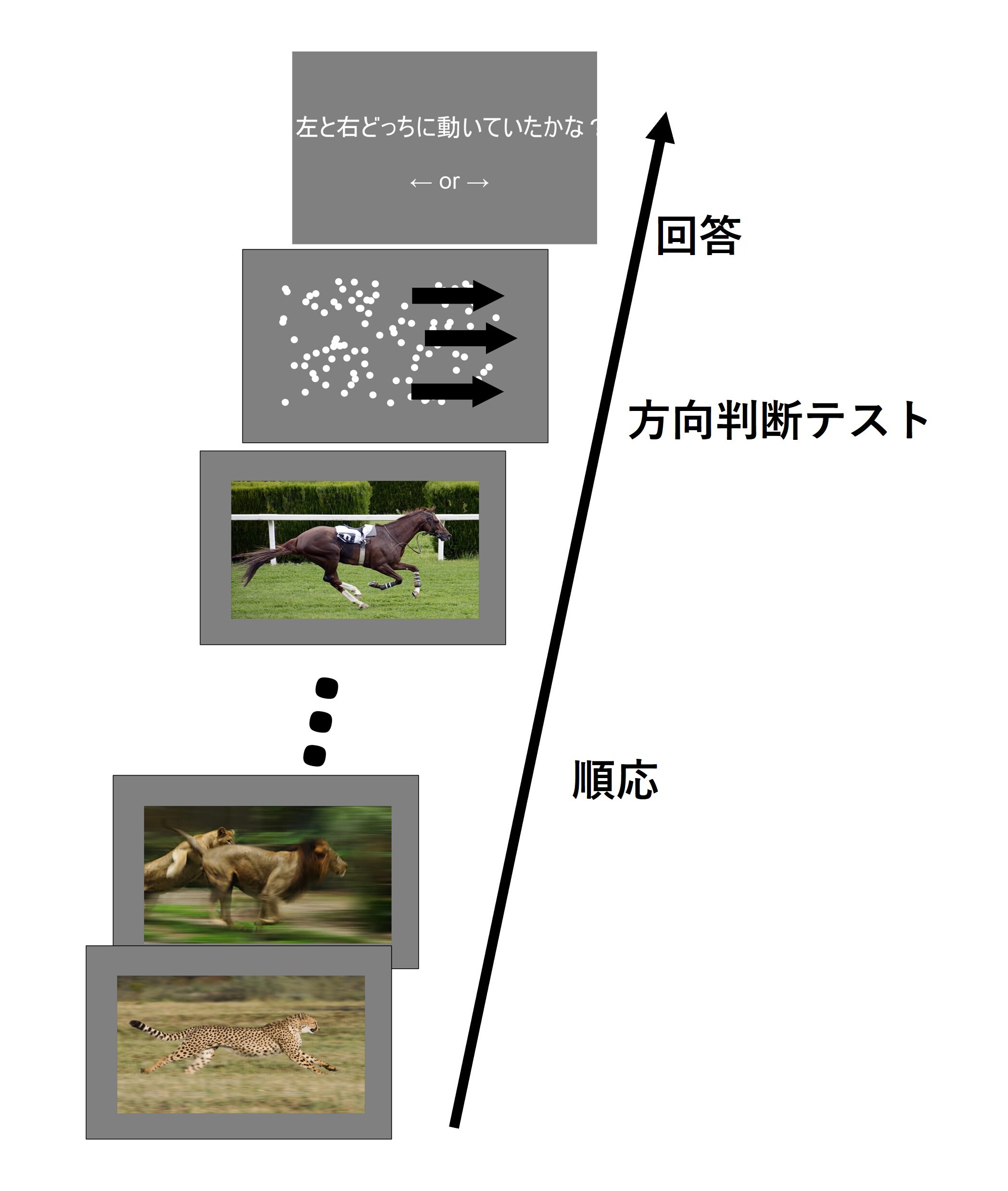 止まった絵から動きを感じよう