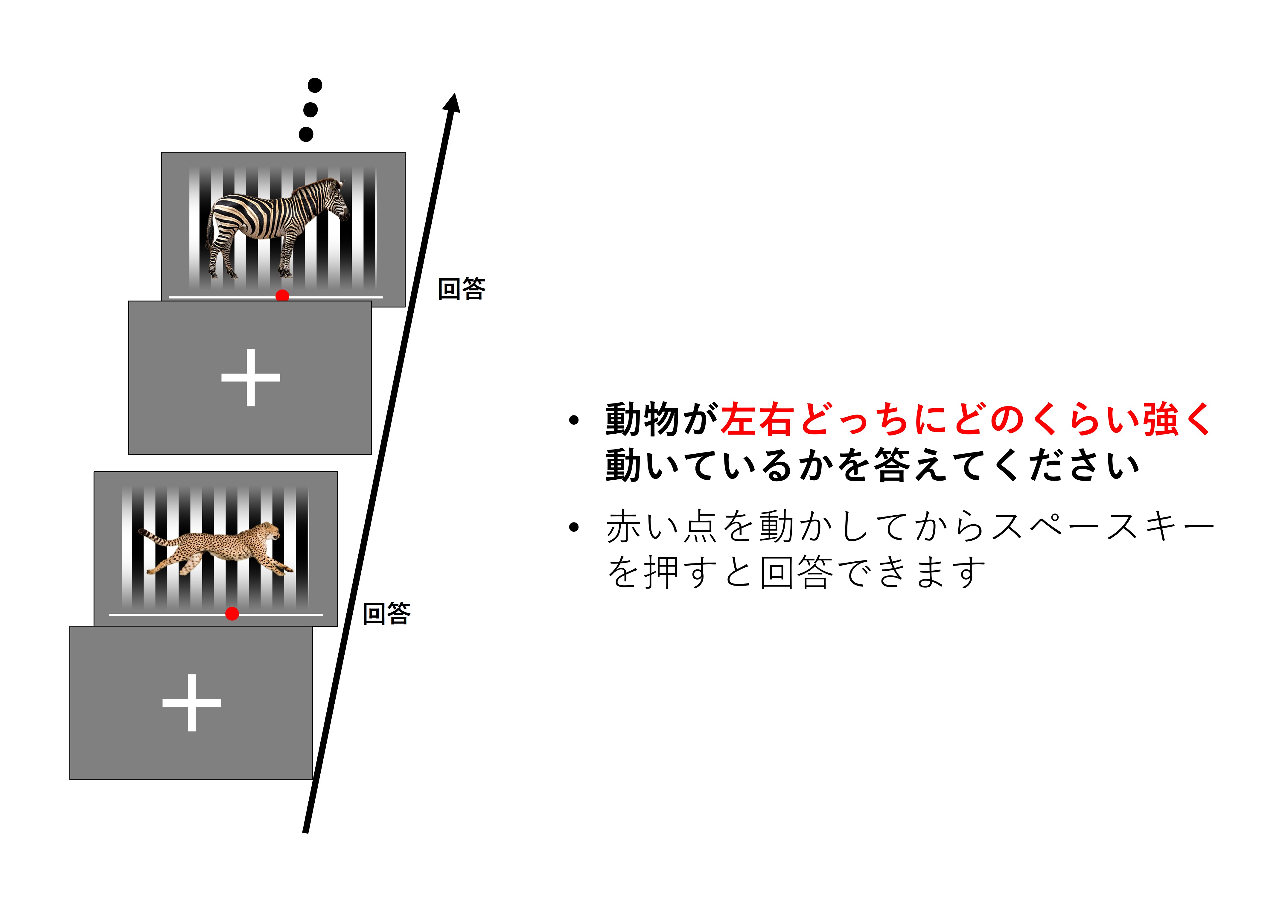 ほんとうに動いている?ほんとうに止まっている?